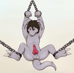  bdsm black_hair bondage bound chain cuffs ebikyun erection grey_body hair knot male penis plain_background red_eyes shackles solo unknown_species valderic_blackstag white_background 