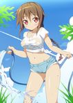  blush breasts brown_hair cutoffs denim denim_shorts from_below groin holding hose ichi_makoto long_hair maou_no_shimobe_ga_arawareta! medium_breasts midriff navel red_eyes shirt short_shorts shorts smile solo tied_shirt water wet wet_clothes 