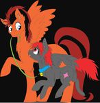  bloodmare collar cub cute cutie_mark equine female horse leash little male mammal my my_little_pony pegasus pony scarlania size_difference star walker walking wings young 