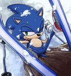  hedgehog karlo looking_at_viewer male mammal outside sega skiing snow sonic_(series) sonic_the_hedgehog tree video_games winter wood 