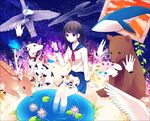  achiki animal bad_id bad_pixiv_id bear bird black_hair blue_eyes bug butterfly calico cat dalmatian deer dog flying_whale hands insect lily_pad long_hair night original paint pencil plant puddle ruler sailor sky smile solo star swan vines whale 