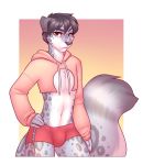  2018 anthro biped brown_eyes bulge clothed clothing digital_media_(artwork) feline fluffy fluffy_tail fur grey_fur grey_hair hair hand_on_hip hoodie leopard lockworkorange looking_at_viewer male mammal meme pantherine partially_clothed shorts simple_background snow_leopard standing sweater twitter_hoodie 