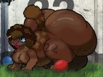 all_fours animal_genitalia balls belly big_balls big_hair blep canid canine canis domestic_dog dominogooper_(artist) feral fluffy fluffy_tail fur genitals grass hair hi_res huge_balls hybrid hyper hyper_balls hyper_genitalia leg_tattoo male mammal moobs morbidly_obese morbidly_obese_feral multi_nipple mustelid musteline nipples obese obese_feral outside overweight overweight_feral pencil_in_hair penis plant sheath solo solo_focus spots spotted_body spotted_fur tail tattoo tongue tongue_out true_musteline weasel wes_(dominogooper) whiskers