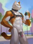 anthro beach beverage casual_chastity casual_exposure chastity_cage chastity_device coffee collar confident domestic_cat felid feline felis fionnthecat harness hi_res leather leather_harness male mammal outside rosemary02 seaside smile solo