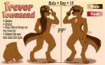 absurd_res canid canine canis domestic_dog hair hair_over_eyes hi_res male mammal model_sheet solo tipzykitzy trevor_townsend