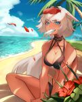  1girl animal_ears beach bikini black_bikini black_hairband blue_eyes blue_sky body_markings breasts caenis_(fate) caenis_(swimsuit_rider)_(fate) caenis_(swimsuit_rider)_(first_ascension)_(fate) cleavage dark-skinned_female dark_skin eating eyewear_on_head fate/grand_order fate_(series) flower food food_in_mouth genshu_doki hair_intakes hairband halterneck hand_on_own_leg hibiscus hibiscus_petals highres horse_ears indian_style long_hair looking_at_viewer medium_breasts ocean outdoors palm_tree petals ponytail popsicle popsicle_in_mouth red-tinted_eyewear red_petals sitting sky solo sunglasses swimsuit teeth tinted_eyewear tree upper_teeth_only white_hair 