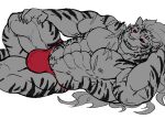 abs anthro biceps bulge clothing eurobeat felid male mammal muscular muscular_anthro muscular_male pang_(sdorica) pantherine pecs scar sdorica solo striped_body stripes tiger underwear