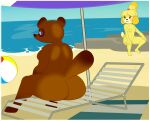 animal_crossing anthro beach big_butt breasts butt canid canine female isabelle_(animal_crossing) male mammal mature_male nintendo raccoon_dog seaside solo tanuki tom_nook_(animal_crossing) villegreen