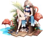  1girl bare_arms bare_legs bare_shoulders bikini bird black_bikini black_footwear blue_eyes blush breasts claire_(eversoul) cleavage cleavage_cutout clothing_cutout dog eversoul flamingo flower food food_in_mouth full_body game_cg hair_between_eyes high_heels highres holding light_brown_hair looking_at_viewer medium_breasts navel non-web_source official_alternate_costume official_alternate_hairstyle official_art on_chair palm_leaf plant popsicle popsicle_in_mouth red_flower shoes short_hair single_shoe sitting solo stomach swimsuit tachi-e thigh_strap towel transparent_background water 