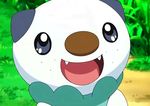  animated animated_gif lowres no_humans oshawott pokemon pokemon_(anime) 