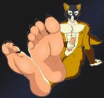 5_toes absurd_res anthro balls canid canine claws countershade_feet countershading crab-eating_fox erection feet fingers foot_focus fox genitals hi_res humanoid_feet male mammal masturbation mroleoso nude paws penis plantigrade presenting rosarydraws soles solo toes wrinkles