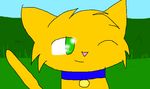  bell cat collar_tag feline feral firepaw_(artist) fur grass green_eyes mammal one_eye_closed outside pink_nose rusty smile solo warrior_cats warriorcats warriors warriors_(cats) warriors_cat wink yellow_fur 