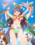  animal bad_id bad_pixiv_id bikini bird black_hair blue_eyes bracelet breasts cockatoo dog flying_squirrel ganaha_hibiki gochou_(atemonai_heya) hamster hamuzou high_heels high_ponytail idolmaster idolmaster_(classic) inumi jewelry long_hair medium_breasts multicolored multicolored_bikini multicolored_clothes multicolored_stripes pig ponytail ribbon sandals smile solo squirrel st_bernard strappy_heels striped swimsuit underboob yellowtip_cockatoo 