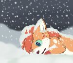 2019 brown_nose corpse covered_in_snow death death_stare female feral fur generation_1_pokemon hair hi_res inner_ear_fluff kaiizree lying lying_on_ground nintendo on_front orange_body orange_fur pokemon pokemon_(species) red_hair simple_background snow snowing solo teal_eyes tuft vulpix