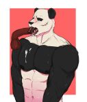 abs anthro balls bear beastars blush bodily_fluids cum cum_in_mouth cum_inside cum_on_chest cum_on_face cum_on_penis cupcake2007 disembodied_penis fellatio fur genital_fluids genitals giant_panda gouhin_(beastars) male mammal multicolored_body multicolored_fur muscular muscular_male nipples nude oral penile penis scar sex simple_background solo tongue tongue_out