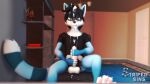 anthro balls big_balls big_penis black_hair blue_body blue_fur bodily_fluids bottomless chair clothed clothing cum cum_in_hair cum_on_chest cum_on_chin cum_on_clothing cum_on_face cum_on_muzzle cum_on_pubes excessive_cum excessive_genital_fluids felix_(striped_sins) fur furniture genital_fluids genitals hair looking_at_genitalia looking_at_penis male markings masturbation office_chair orange_eyes pawpads paws penis pubes shirt solo striped_markings striped_sins striped_tail stripes t-shirt tail tail_markings topwear two-handed_masturbation willitfit