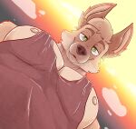 absurd_res anthro canid canine hi_res himbo looking_at_viewer looking_down looking_down_at_viewer machine male mammal maned_wolf pec_pov_meme smile smiling_at_viewer smirk smirking_at_viewer solo syforg