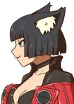  1girl animal_ear_fluff bare_shoulders black_choker black_hair choker green_eyes guilty_gear guilty_gear_strive highres i-no looking_to_the_side mole mole_above_mouth nirade44 profile red_lips short_hair smile upper_body 