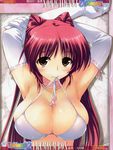  amaduyu_tatsuki bra cleavage kousaka_tamaki to_heart to_heart_2 to_heart_2_another_days 