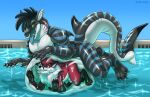 abdominal_bulge anthro canid canine digitigrade duo fish fox ifus inside_stomach male male/male mammal marine open_mouth pool pool_toy shark tail tongue tongue_out vore water xray_view ziggy_(dezo) zoru