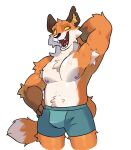 anthro armpit_hair belly body_hair bulge canid canine clothing epic_games fennix_(fortnite) fluffy fortnite fox fur green_clothing hand_on_hip hi_res male mammal muscular nipples open_mouth orange_body orange_fur simple_background smile solo sparklesart_2 tail underwear white_body white_fur yellow_eyes