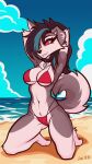 2024 9:16 anthro artist_name beach bikini black_hair black_nose breasts canid canid_demon canine canis clothing collar_tag countershading curved_tail day demon detailed_background digital_media_(artwork) domestic_dog eyebrows eyelashes female floppy_ears fluffy fluffy_tail front_view fur grey_body grey_fur hair hand_behind_head hellhound hi_res highlights_(coloring) husky kneeling long_hair looking_at_viewer lw_88 mammal mythological_canine mythological_creature mythology navel nordic_sled_dog outside red_bikini red_clothing red_sclera red_swimwear sand side solo spitz string_bikini summer swimwear tail white_eyes