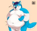absurd_res anthro balls belly big_belly blue_hair blush burping canid canine canis cheek_markings domestic_dog facial_markings flaccid fupa genitals green_eyes hair hands_on_belly head_markings hi_res hungry husky hybrid male mammal markings moobs nordic_sled_dog nude overweight overweight_anthro overweight_male penis small_penis solo spitz t_cayoti white_belly wintie wolf