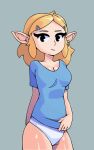 animated bouncing_breasts breasts clothed clothing clothing_lift female girpel grin hi_res humanoid humanoid_pointy_ears hylian looking_at_viewer nintendo not_furry panties princess_zelda shirt shirt_lift short_playtime simple_background small_breasts smile solo the_legend_of_zelda topwear underwear