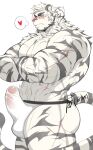 abs anthro arknights clothing erection felid fur hi_res hypergryph leoooliooon male mammal mountain_(arknights) muscular muscular_anthro muscular_male pantherine scar solo studio_montagne tail tiger underwear white_body white_fur