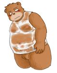 anthro balls bear belly blush blush_lines brown_body clothing erection erection_under_clothing foreskin genitals hi_res male mammal moobs nipples overweight penis rampie shirt slightly_chubby solo topwear ursidae ursine wet wet_clothing wet_shirt wet_topwear