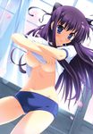  :p absurdres blue_eyes breasts buruma cherry_blossoms copyright_request dutch_angle gym_uniform highres itou_life large_breasts nipples no_bra purple_hair shirt_lift solo tongue tongue_out underboob underwear window 