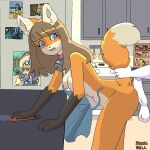 anthro apron areola big_areola big_breasts big_penis breasts canid canine cleaning clothing disembodied_penis female fox from_behind_position frottage genitals hanna_bell hi_res humanoid_genitalia humanoid_penis kitchen male mammal penile penis red_fox sex tail tail_grab true_fox