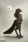  avian beak bird blue_eyes bombird breasts female hat lizanne lyrebird nude solo superb_lyrebird 