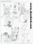  canine clothed clothing dixie female flower fox james_m_hardiman mammal model_sheet raised_tail reading rose skimpy 