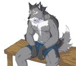  anthro bench biceps blush boxers canine chest_tuft fur grey_fur male mammal muscles nipples pecs pose red_eyes sitting solo topless tuft underwear unknown_artist white_markings wolf 