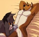  anthro balls bed canine cbh dog drake drake_(character) duo eyes_closed facial_hair fellatio fox gay goatee licking lying male mammal nude on_back oral oral_sex penis saliva sex tongue yashar 