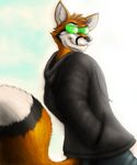  canine clothed clothing coat cool dragonwing013 eyewear felixthefox fluffy_tail fox fur looking_at_viewer male mammal pants pose smile solo sunglasses 