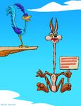  avian bird canine coyote draconis0868 duo falling looney_tunes male mammal meme rage_guy roadrunner roadrunner_(looney_tunes) sign text trollface warner_brothers wile_e._coyote wings 