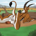  aaron_(artist) antelope anus balls inviting looking_at_viewer lying male penis savannah seductive solo 