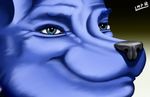  avatar blue blue_eyes blue_fur canine close-up delay_close elegant_gradient everybody_loves_memes fur lord_magicpants mammal rape_face smile wolf 