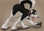  anthro ass_up canine collar dog english_text fetish group husky latex(artist) latex_(artist) mammal open_mouth paws plain_background raised_tail saliva text tongue tongue_out transformation 