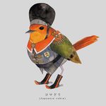  animal animal_focus bird clothed_animal commentary_request english_text japanese_robin jpeg_artifacts military military_uniform no_humans original photoshop_(medium) robin_(animal) robin_(bird) shirahama_kamome simple_background solo uniform 