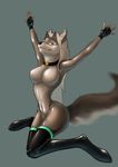  breasts canine dog female fetish invalid_tag latex_(artist) mammal paws shiny solo transformation wolf 
