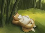  brown_fur canine chubby erection eyes_closed fox fur male mammal penis sleeping solo zangusuu 