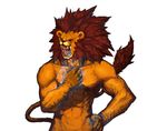  costume dnf dungeon_and_fighter glowing glowing_fist green_eyes lion_costume monk priest smile tail 