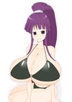  1girl breasts eiken gigantic_breasts misono_kirika purple_eyes purple_hair 