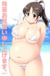  1girl beach bikini blush breasts brown_eyes brown_hair cloud fat flying_sweatdrops highres huge_breasts kominezaki_nanaka large_breasts long_hair looking_at_viewer micro_bikini motto!_debutopia new_debu_plus ocean outdoors shiny shiny_skin sky smile solo standing swimsuit 