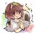  animal_ears bracelet brown_eyes brown_hair capelet fang futatsuiwa_mamizou glasses jewelry leaf leaf_on_head open_mouth pince-nez raccoon_ears raccoon_tail sen1986 short_hair smile solo tail touhou upper_body 