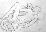  anal_penetration bed black_and_white duo erection gay male mammal monochrome mustelid penetration penis sex slender slim unknown_artist vandringar weasel 