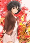  amagami arms_behind_back autumn autumn_leaves black_hair brown_eyes cardigan dress leaf light_smile looking_at_viewer murasaki_iro nanasaki_ai short_hair solo tree tsurime 